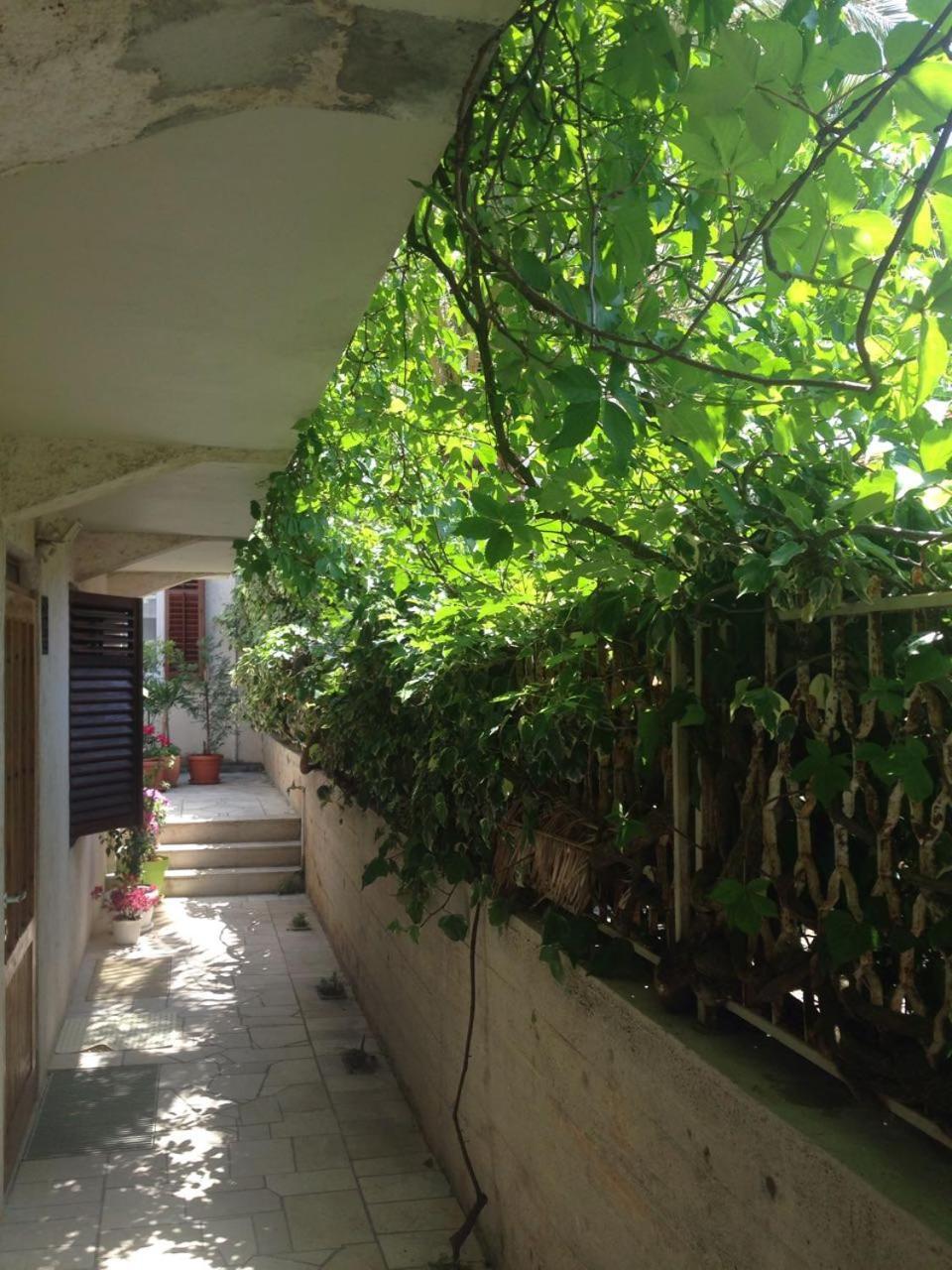 דירות Happy Dubrovnik Centre-Free Parking מראה חיצוני תמונה